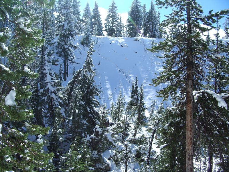 IMGP0524