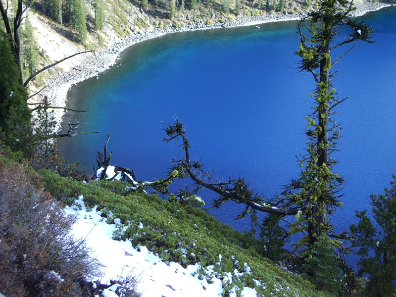 IMGP0555