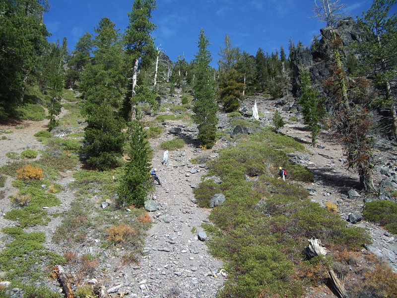 IMGP0726