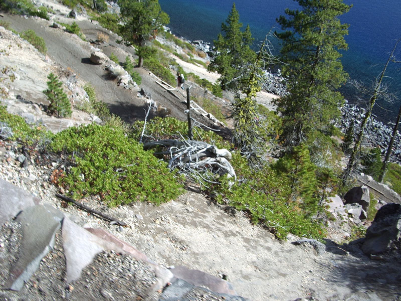 IMGP0781